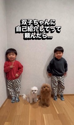 双子ちゃんに自己紹介をお願いしたら…?