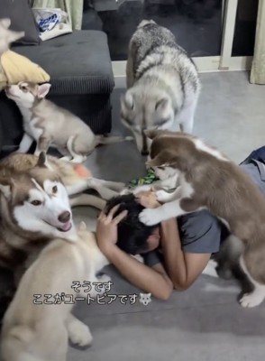パパ「痛い！」
