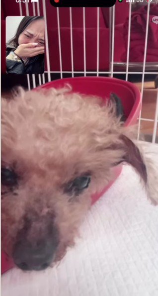 「最後になるかもしれない」