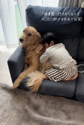 ACEくん、お困り…？