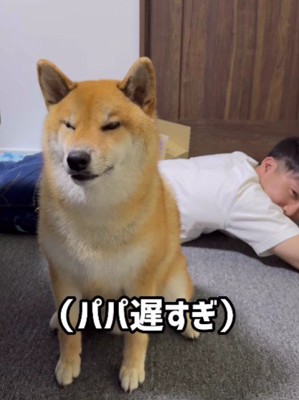 ご立腹のぽてとちゃん