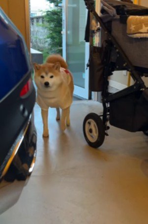 ノロノロと歩いて…