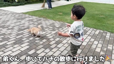 上手にお散歩できています!