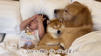 なかなか寝付けない…