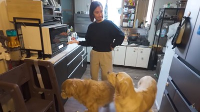 ママとワンコたち