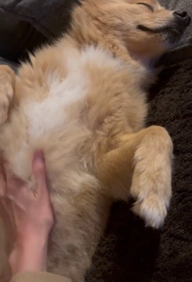 お腹をナデナデ