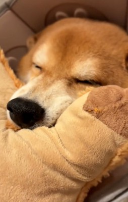 目をつぶっている長三郎くん