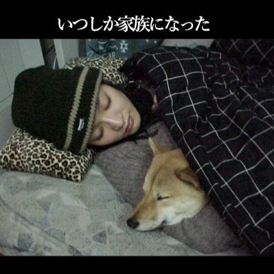 かけがえのない存在に