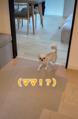 5日ぶりにママと再会♡