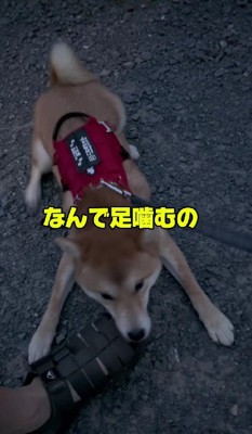 嬉しさが止まらない