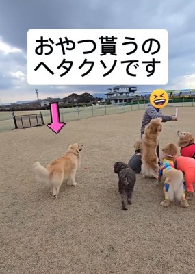 おやつがもらえないにこちゃん