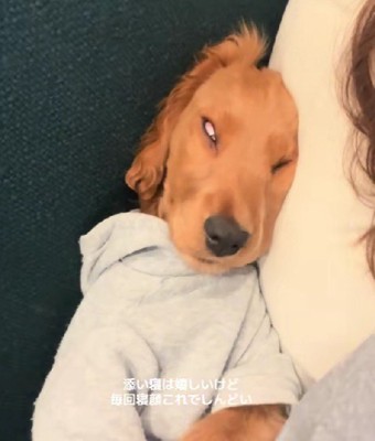 ものすごい寝顔に！！