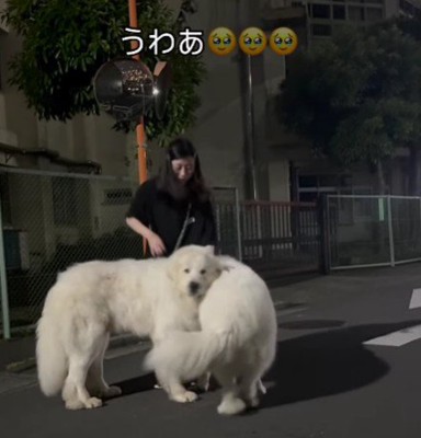 なんとか立った!!