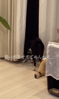 健気すぎる背中