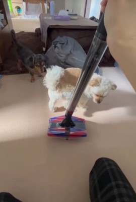 横目で様子をうかがって…