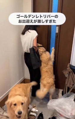 ドアへと押しやられる