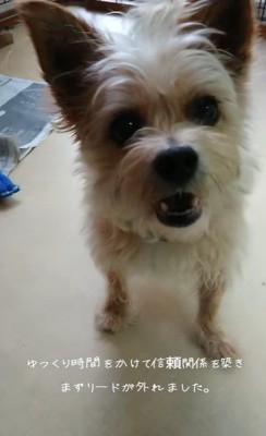 ネオくんが幸せを掴むまで3