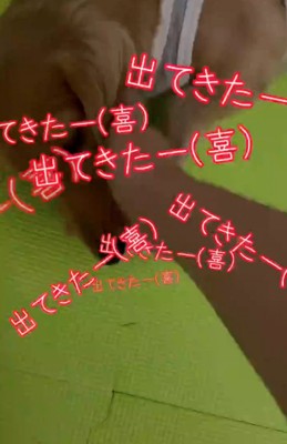 ケージから出てきた犬