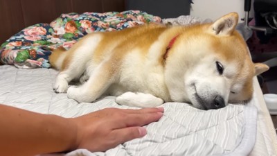 想定外の反応!?