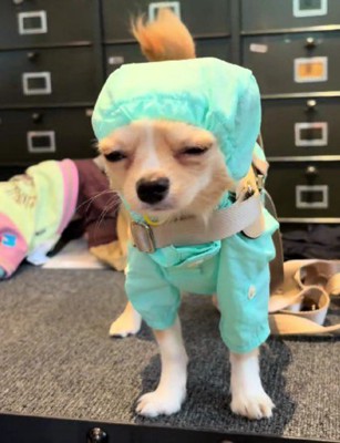 あからさまに不服そう