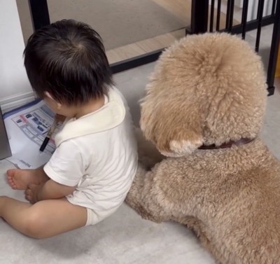 ペンを持つ男の子と犬