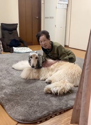 動かない大型犬
