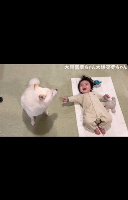 はしゃぐおまめ君&笑う赤ちゃん8