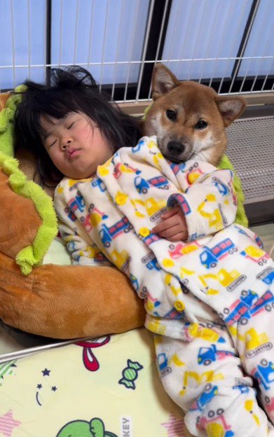 コロちゃんのサークルの中!!