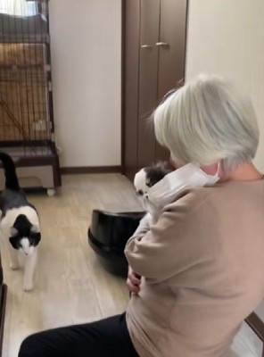 しらたまちゃんも来て…