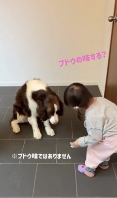 実はさつまいも味