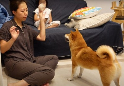 ボールをくわえた犬と遊ぶ母娘