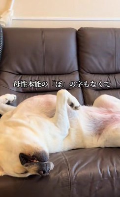 グースカ寝てる!!