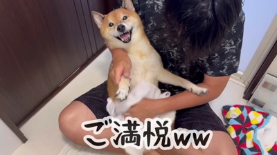 キレイになってご満悦♡