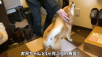 「おかえり~!」