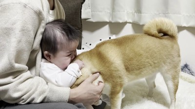 「大丈夫だよ」