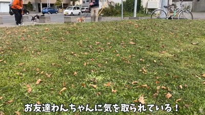 ママに気付くかな！？