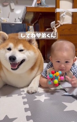 柴雄くんと赤ちゃん