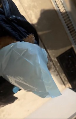 ビニール袋を被ったうーろんくん1