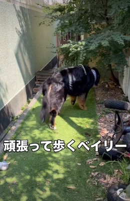 お庭に出て「ある場所」へ…