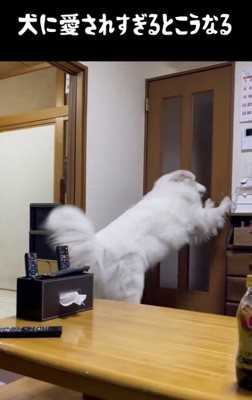 「置いてかないでぇぇ」