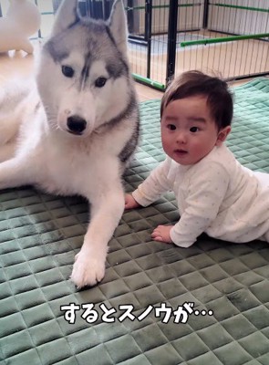 スノウちゃんに辿り着くと…