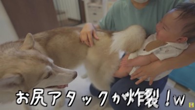 お尻アタックがさく裂！！