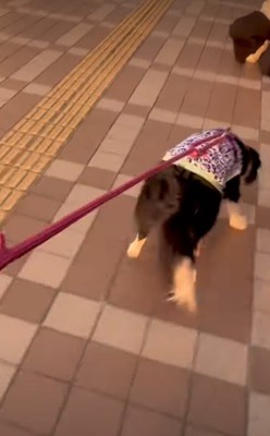 ついに再会のとき…