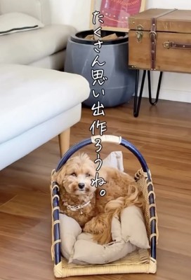 まだまだ成長中