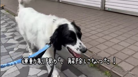 テトくんが幸せを掴むまで6