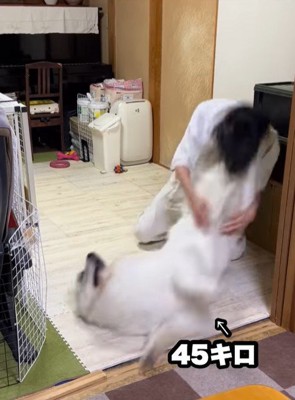 ドレミちゃんの成長8