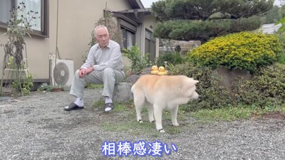 まるで相棒のような2人