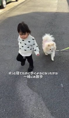 赤ちゃんと小型犬