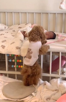 赤ちゃんを覗き込むりのちゃん