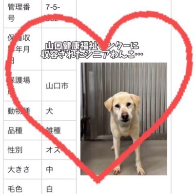 三郎くんが幸せを掴むまで